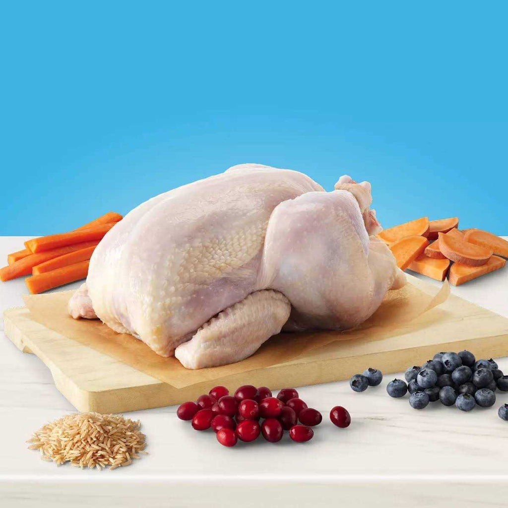 Natural Chicken Indoor Adult Dry Cat Food R752