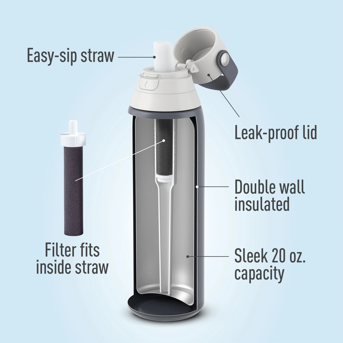 20 oz Stainless Steel Filtered Insulated Water Bottle with Straw H227878