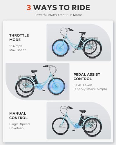 24 inch 250W Electric Tricycle with 468Wh Removable Battery F8081