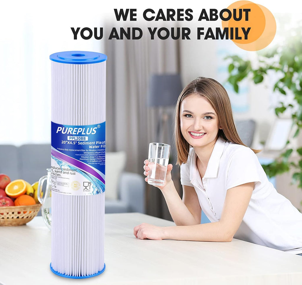 20 x 4.5 Whole House Pleated Sediment Filter Replacement Cartridge 2Pack Q5620