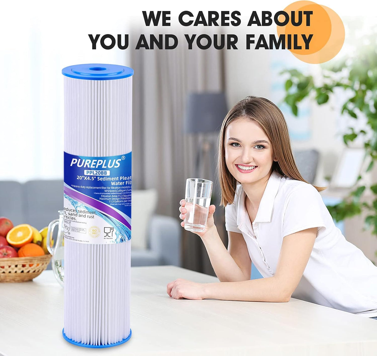 20 x 4.5 Whole House Pleated Sediment Filter Replacement Cartridge 2Pack Q5620