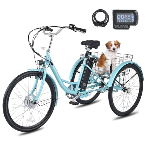 24 inch 250W Electric Tricycle with 468Wh Removable Battery F8081