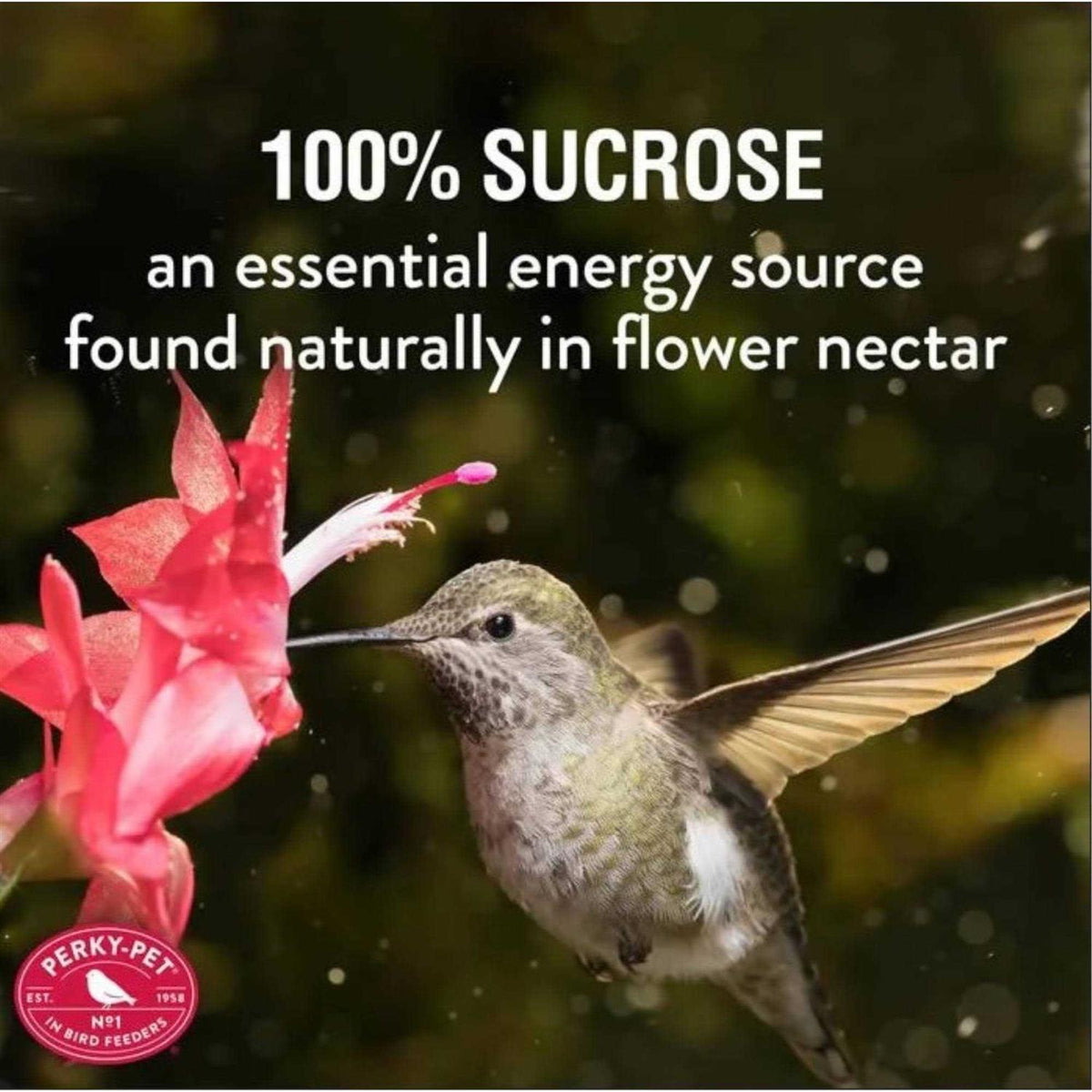 Hummingbird Nectar J8409