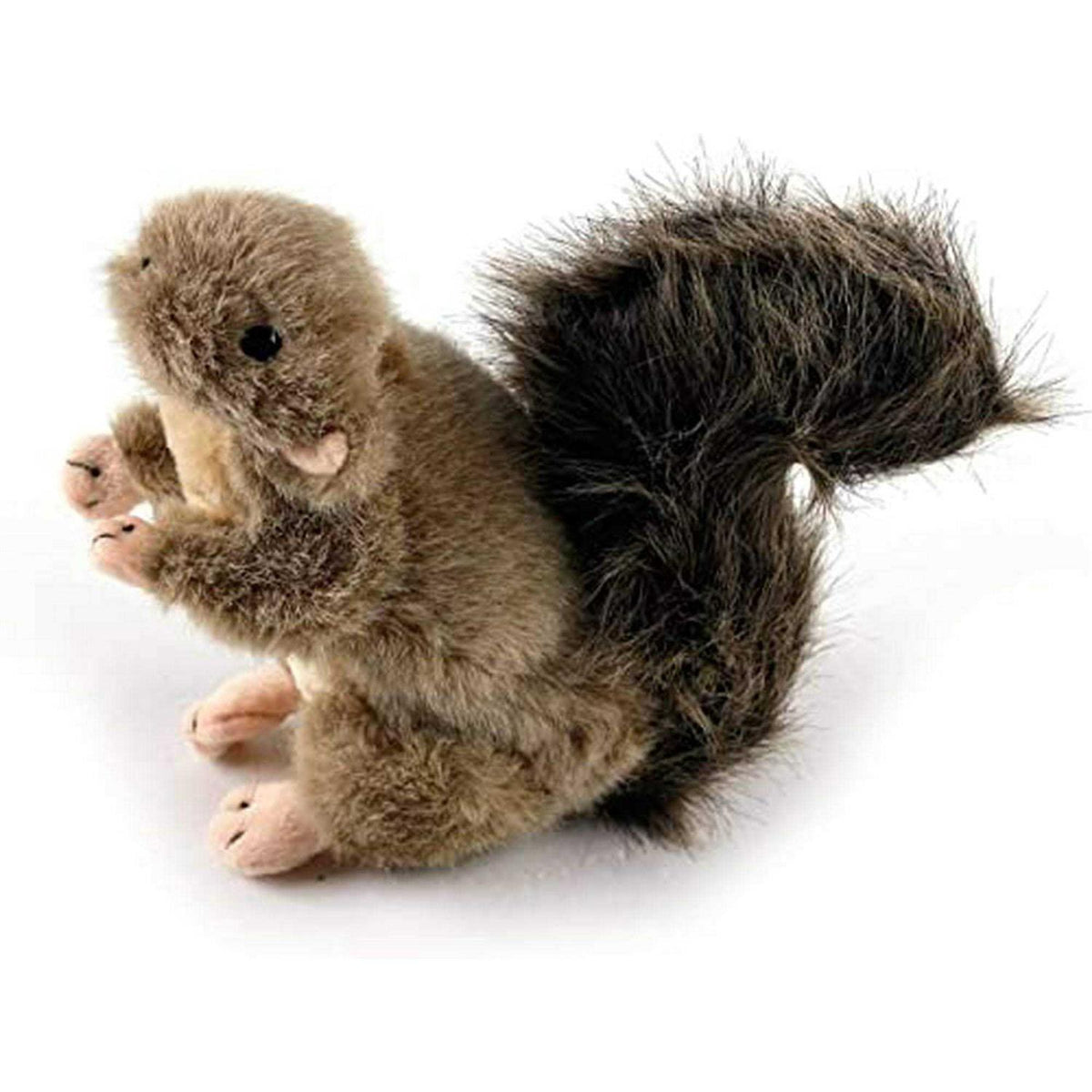 Classic Squirrel M8830