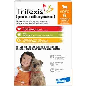 Dog Flea and Tick Prevention 6pk I16186