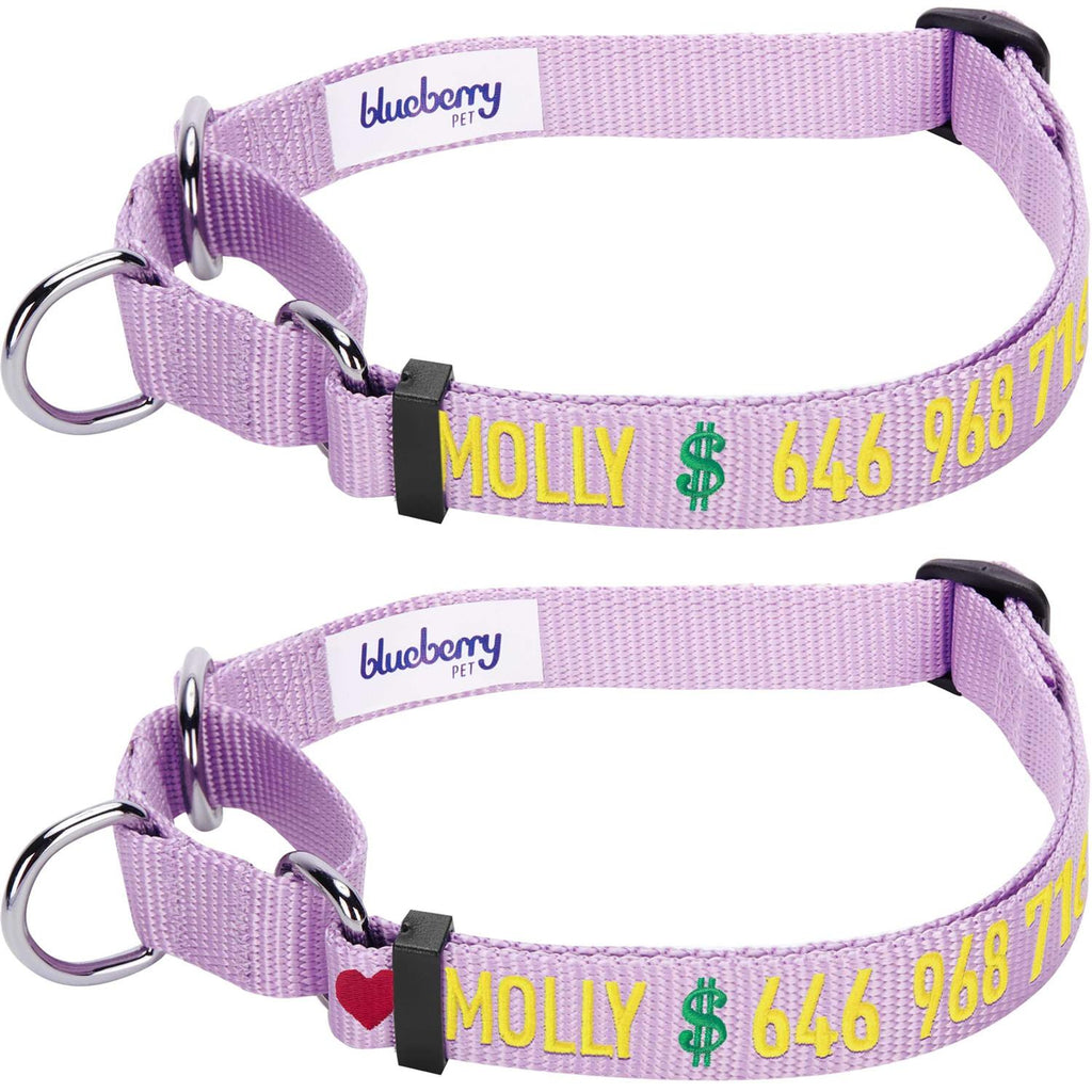 Martingale Safety Training Dog Collar B619984