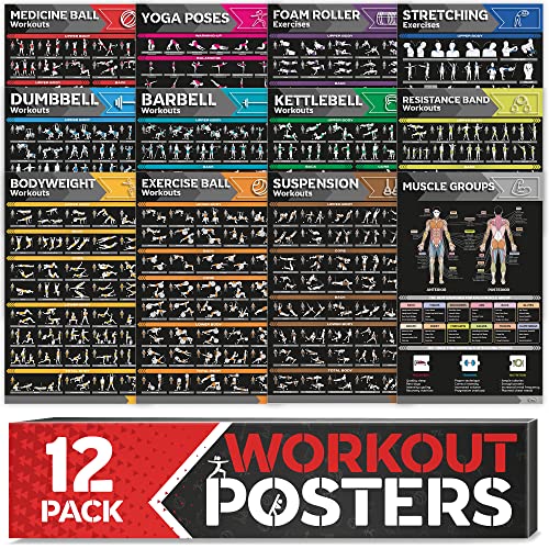 12-PACK Laminated Large Workout Poster Set with Exercise Charts J651