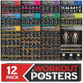 12-PACK Laminated Large Workout Poster Set with Exercise Charts J651