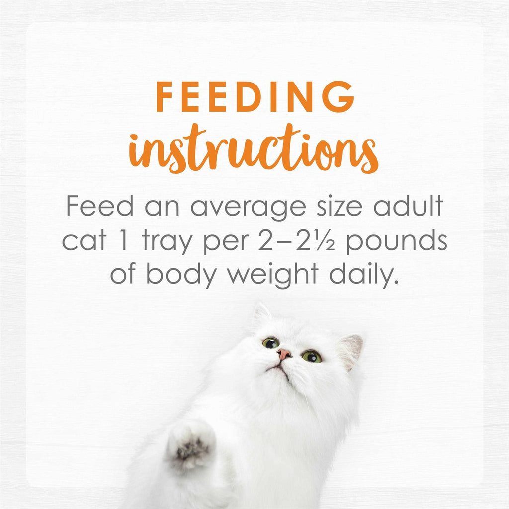 Cat Food K123