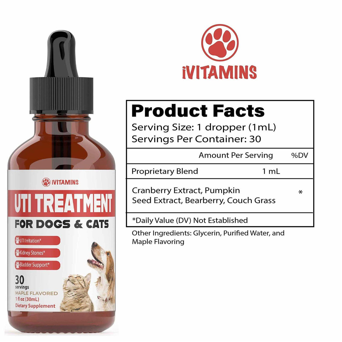Pumpkin Cranberry Supplement for Dogs N427248