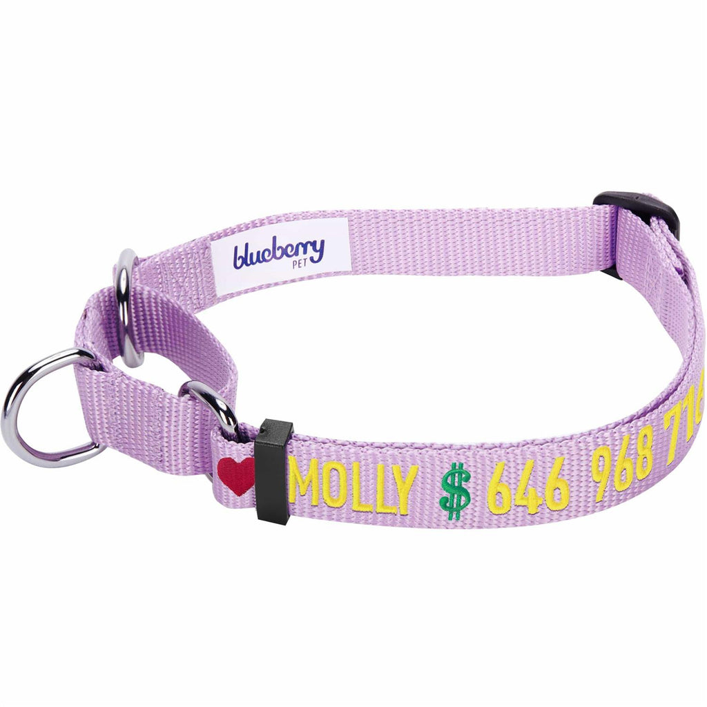 Martingale Safety Training Dog Collar B619984
