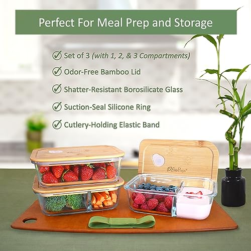 3 Pack Glass Meal Prep Containers with Bamboo Lids P384