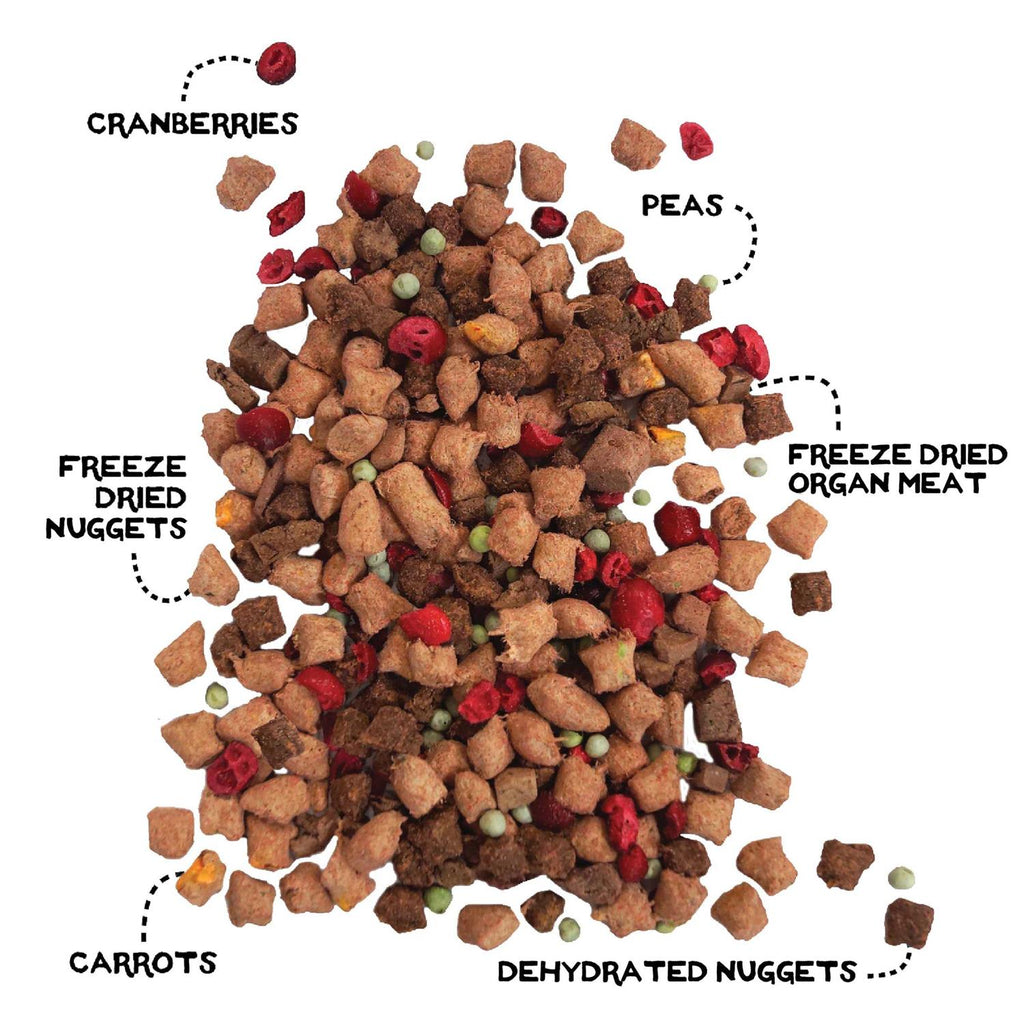 Freeze Dried Beef & Salmon G1075