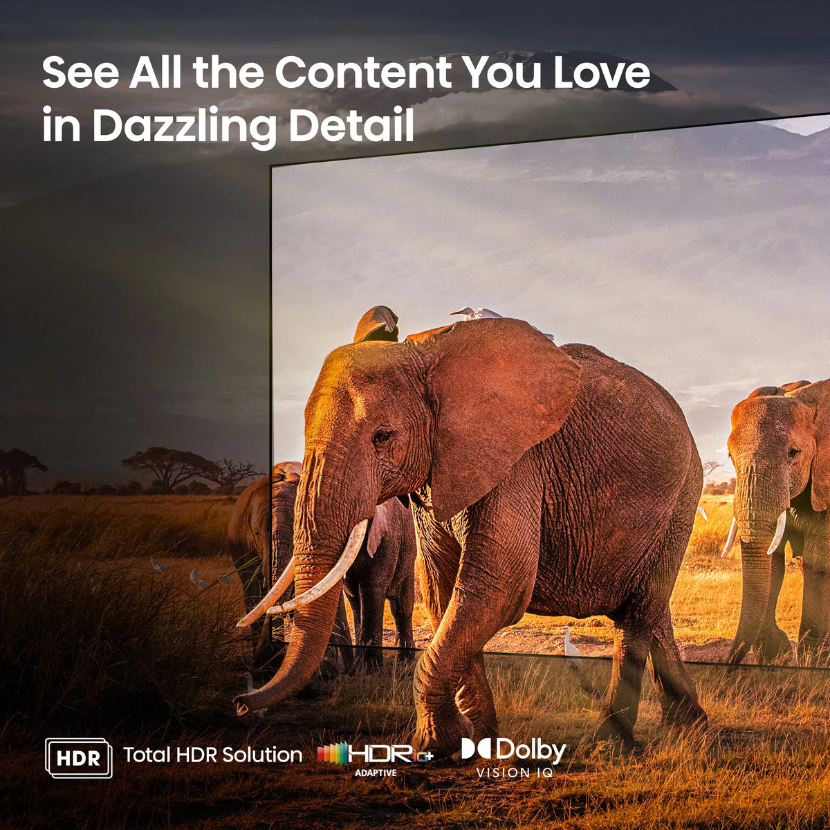 55-Inch Mini-LED QLED Google Smart TV G356