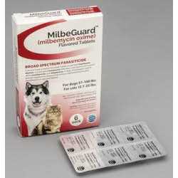 Flavored Tablets for Dogs 11-25 lbs C905
