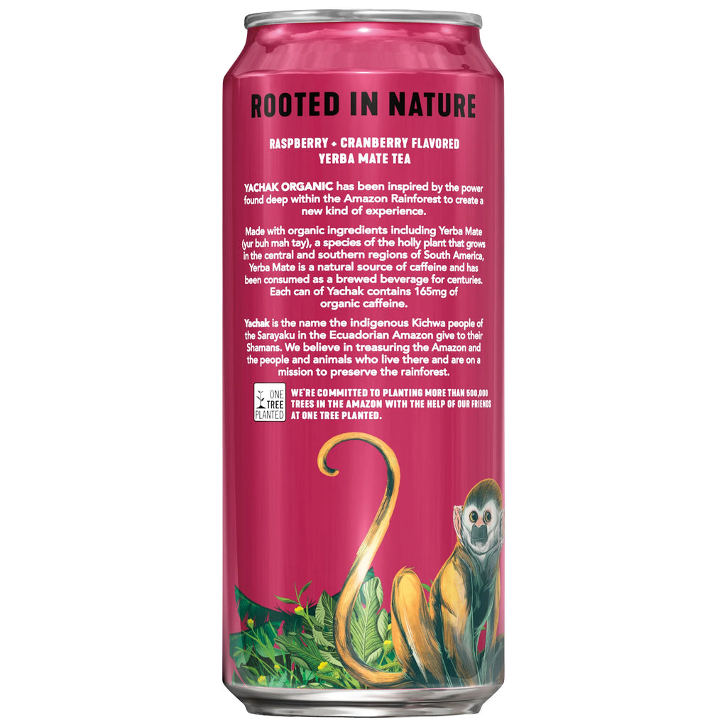 Yerba Mate Drink 16 fl oz 12 Pack Cans F631145