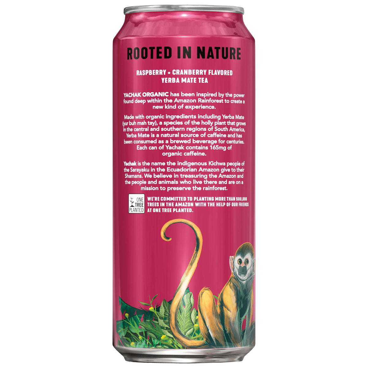 Yerba Mate Drink 16 fl oz 12 Pack Cans F631145