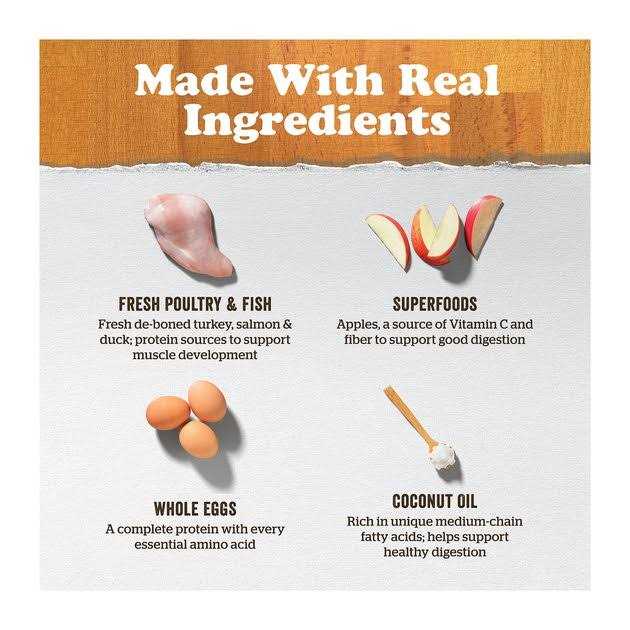 Grain-Free Senior Dry Dog Food B680