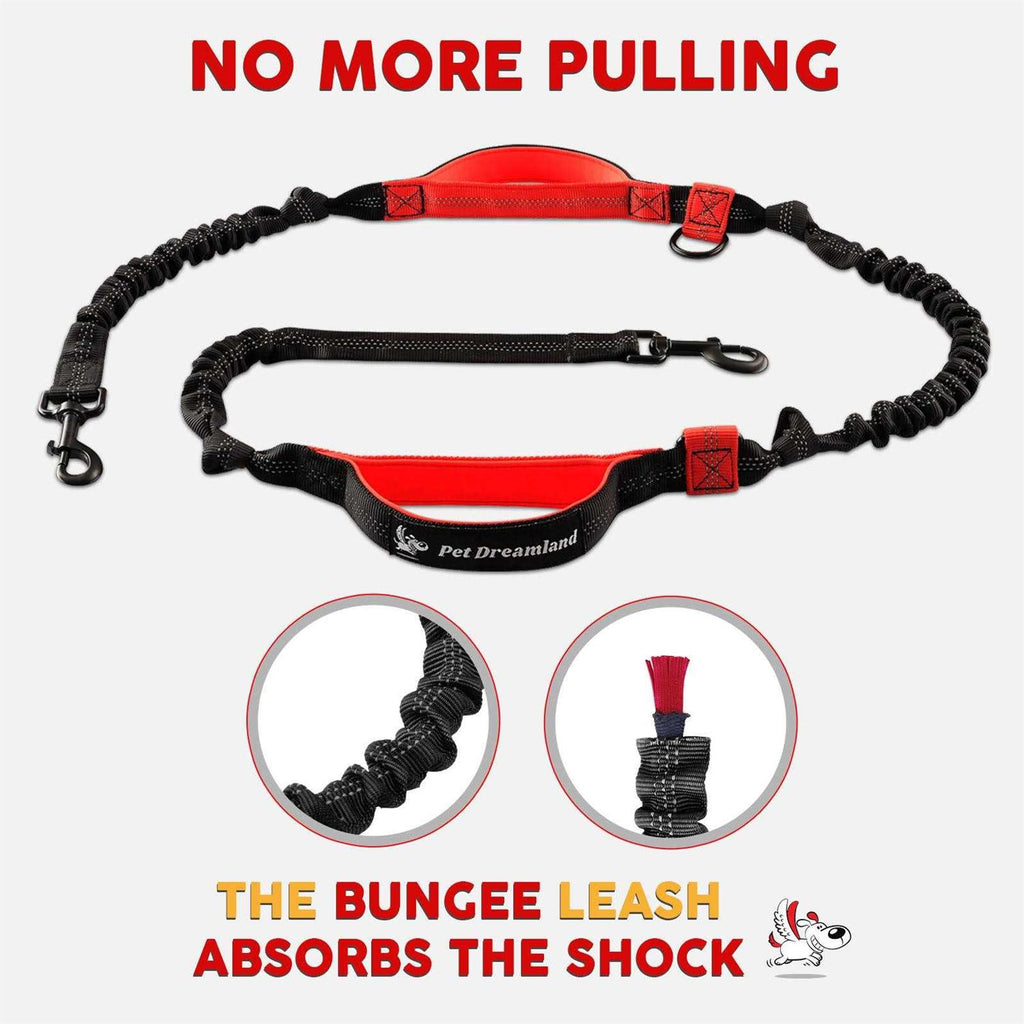 Hands Free Dog Leash A640