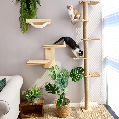 5 Tier Floor to Ceiling Cat Tree Y4859