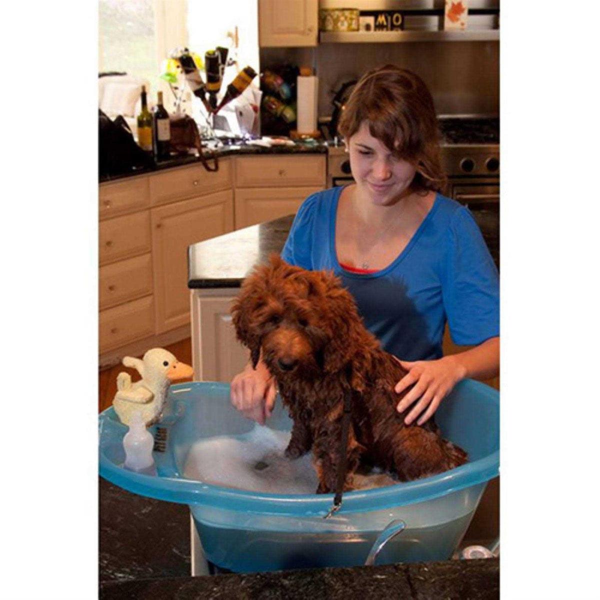 Pet Tub Z537987