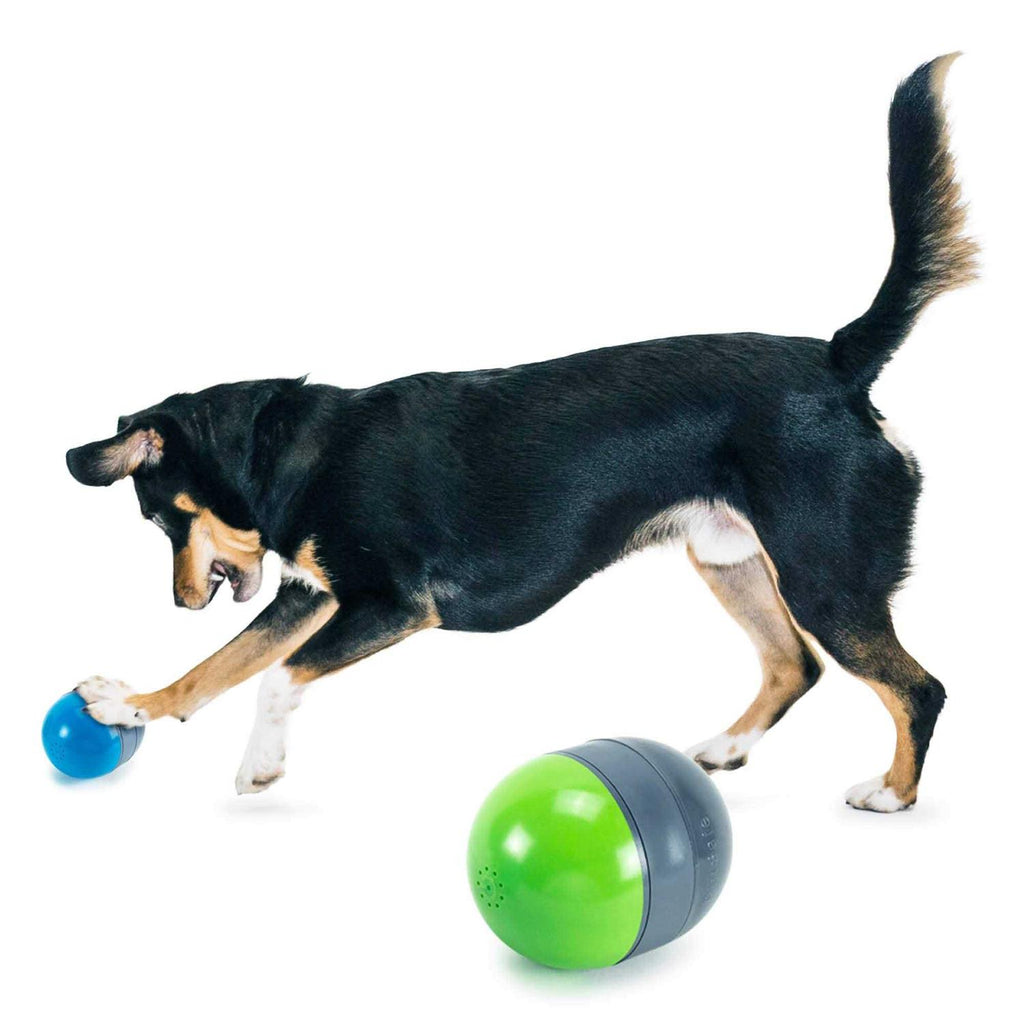 Electronic Dog Toy I569089