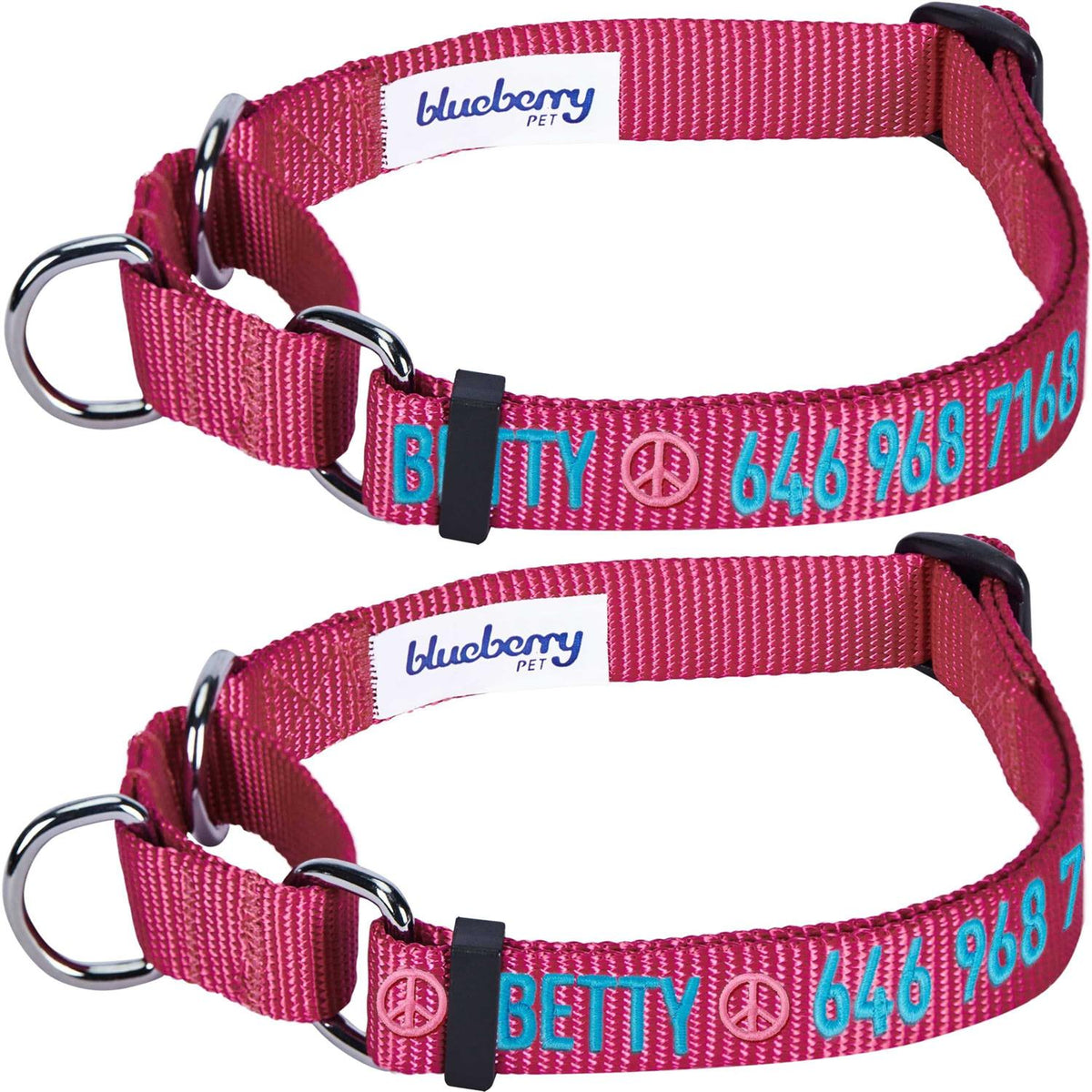 Martingale Safety Training Dog Collar B619984
