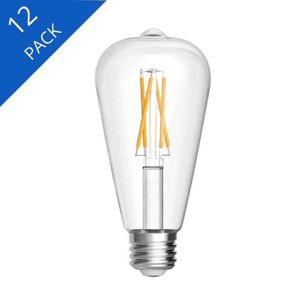 Vintage 60-Watt ST19 Soft White Dimmable Decorative Light Bulb (12-Pack) Y68236