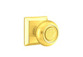 Bright Brass Finish Knob C58561