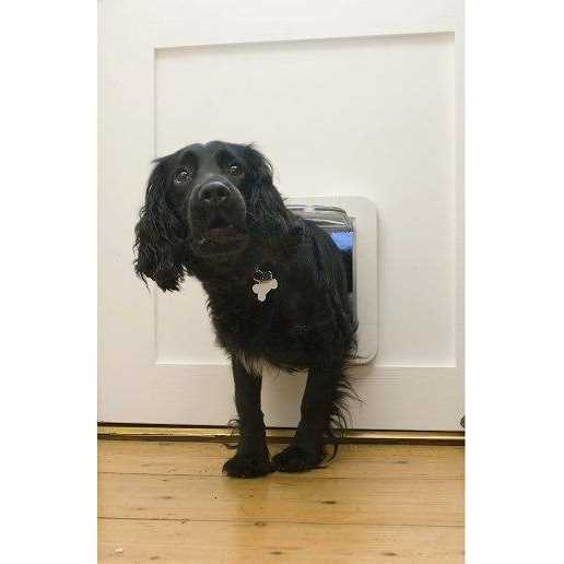 Microchip Pet Door Q4947