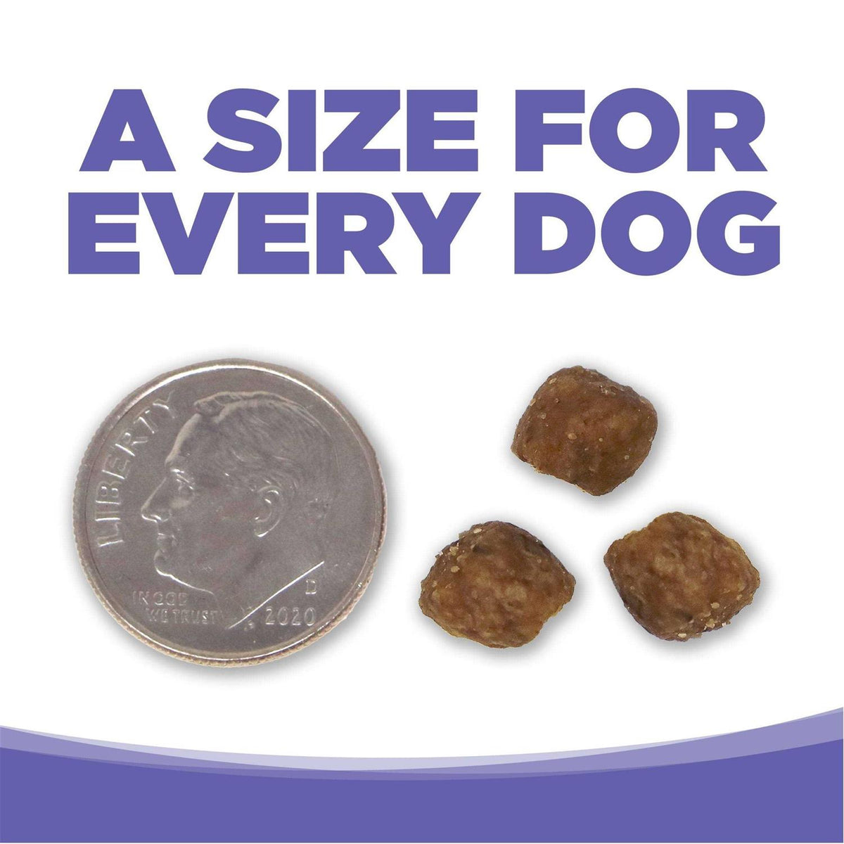 Chicken Rice Small Medium-Breed Puppy Dry Dog Food I933107