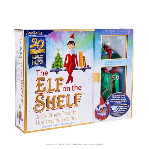 Boy with Blue Eyes Posable Christmas Elf and Storybook U12373