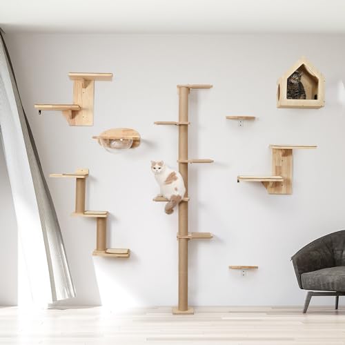 5 Tier Floor to Ceiling Cat Tree Y4859