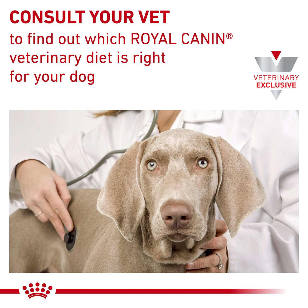 Veterinary Diet Canine Hydrolyzed Protein Adult PS Dry Dog Food W6286