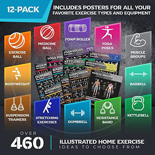 12-PACK Laminated Large Workout Poster Set with Exercise Charts J651