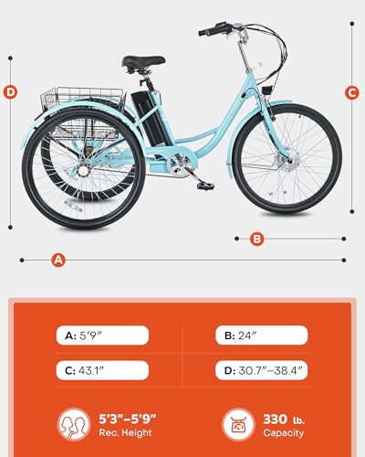 24 inch 250W Electric Tricycle with 468Wh Removable Battery F8081