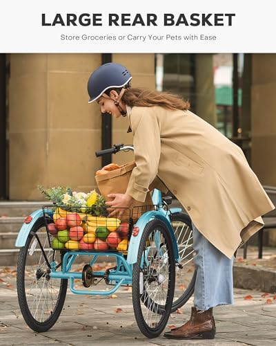 24 inch 250W Electric Tricycle with 468Wh Removable Battery F8081