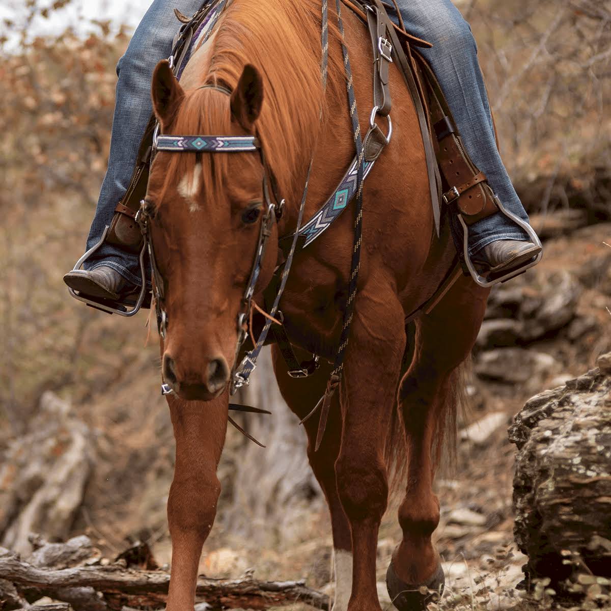 Taos Beaded Browband Headstall V1472