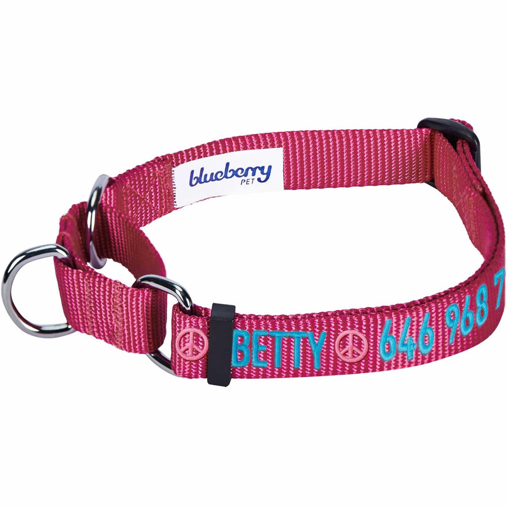 Martingale Safety Training Dog Collar B619984