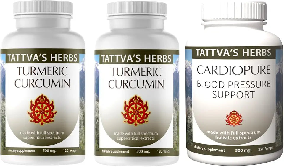Turmeric Curcumin 500 mg 120 ct G455