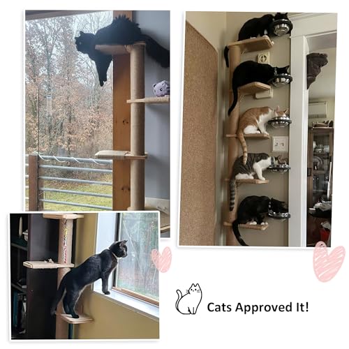 5 Tier Floor to Ceiling Cat Tree Y4859