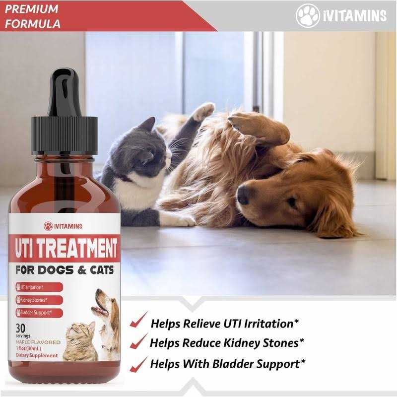 Pumpkin Cranberry Supplement for Dogs N427248