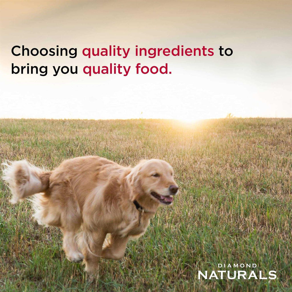 Senior Dry Dog Food Z522