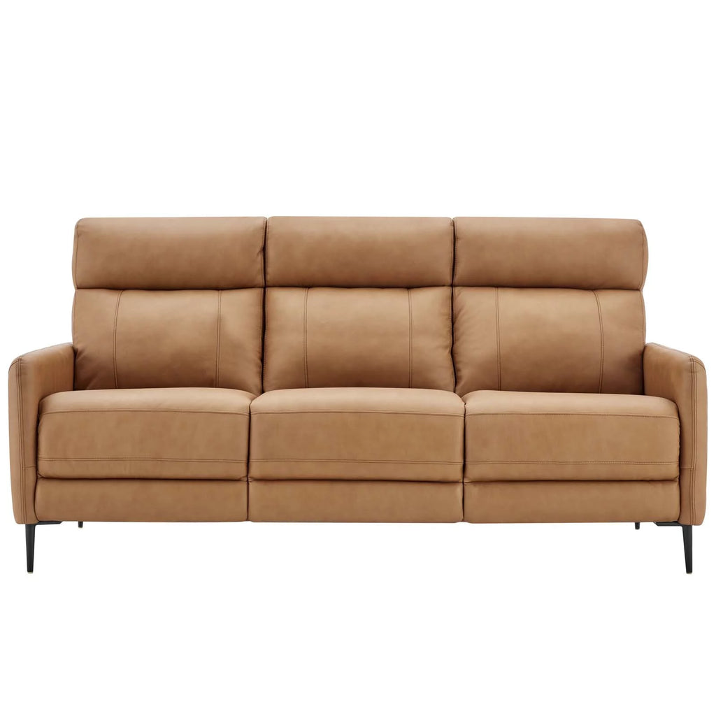 Tan Leather Sofa Y76159