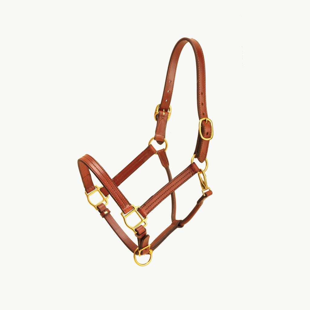 Havana Leather Halter with Snap V1353