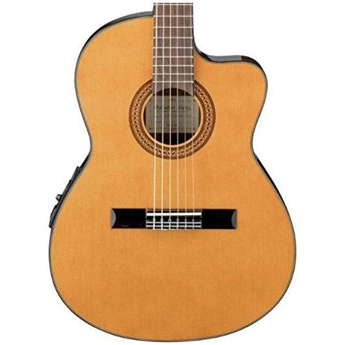 Classical Acoustic-Electric Guitar H9005