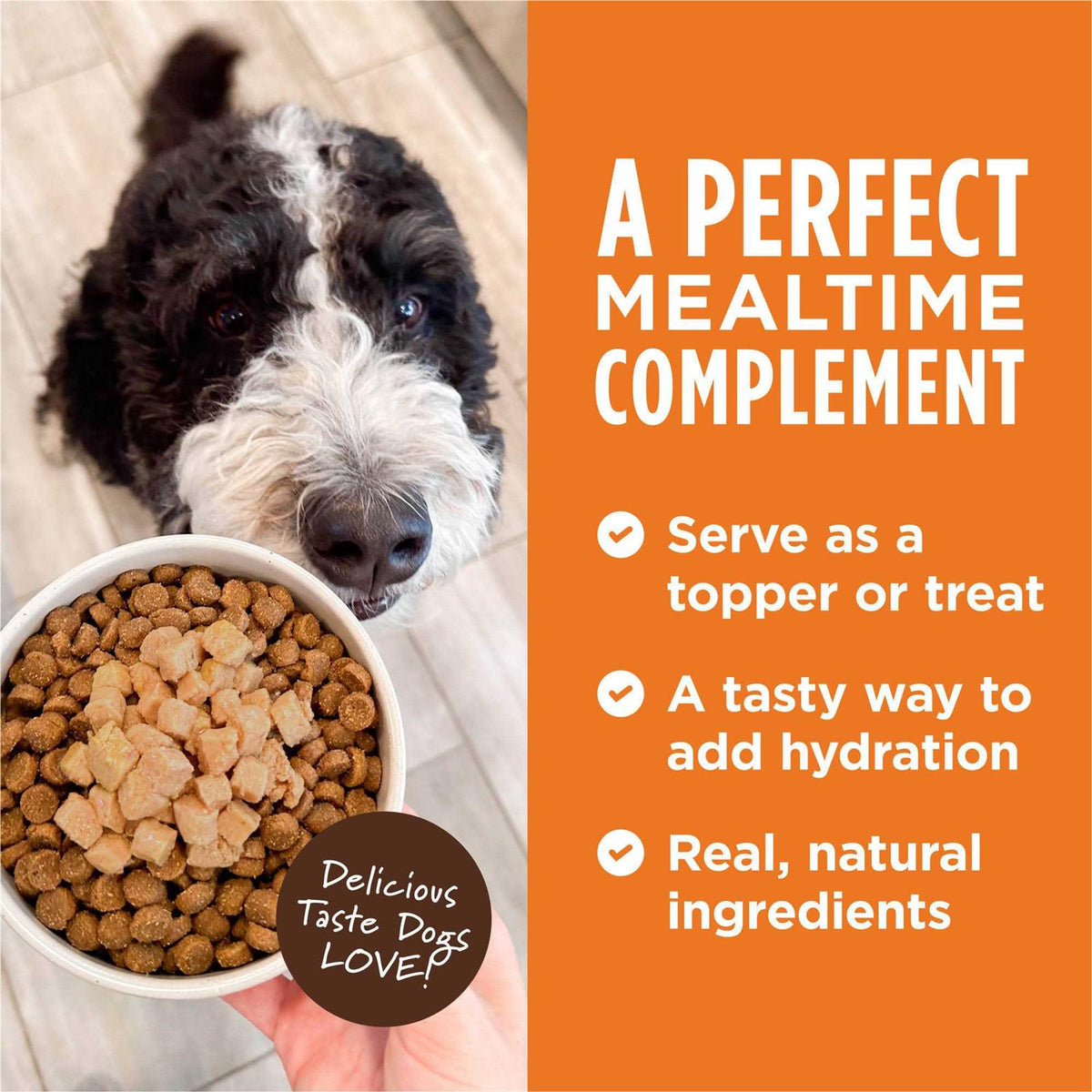 Grain Free Wet Dog Food Topper V239807