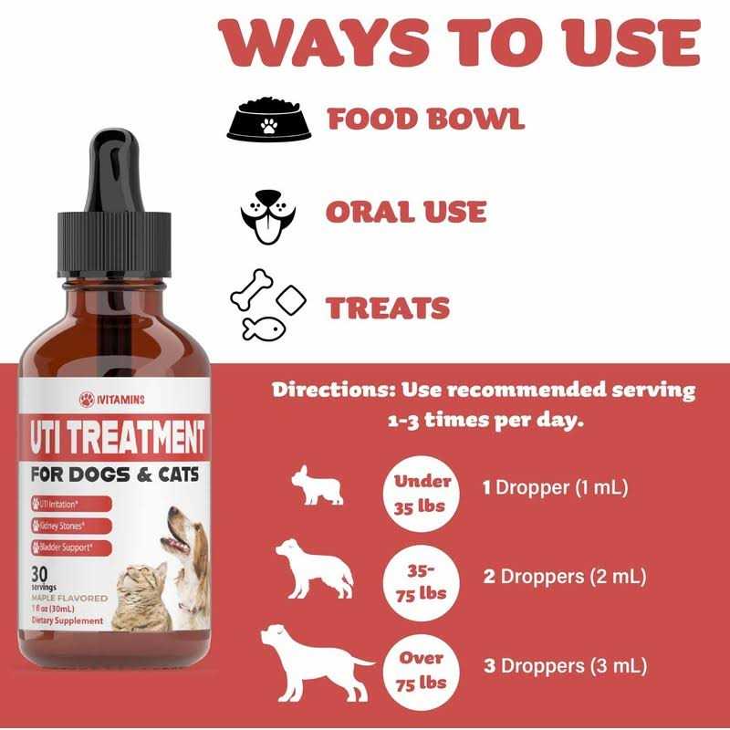 Pumpkin Cranberry Supplement for Dogs N427248