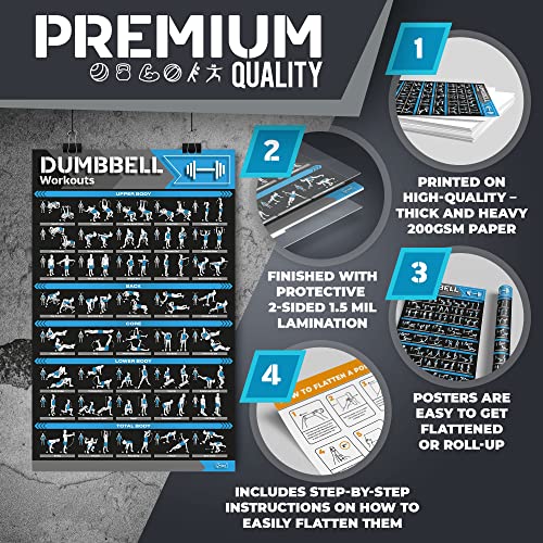 12-PACK Laminated Large Workout Poster Set with Exercise Charts J651