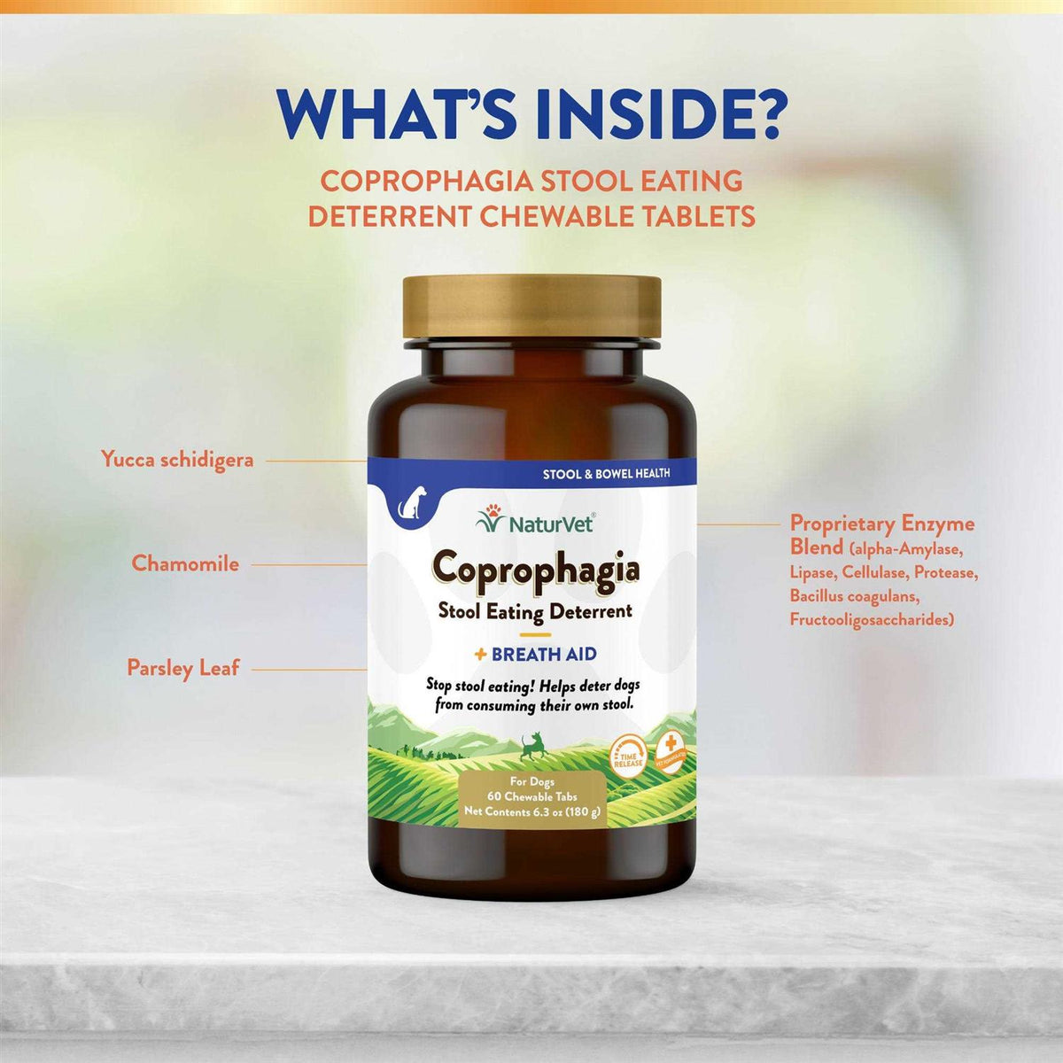 Coprophagia Stool Eating Deterrent Pet Supplies A9160